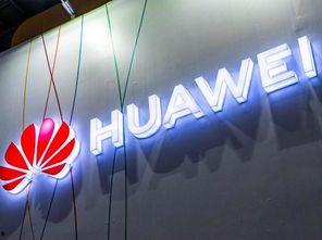 华为明年最新爆料新闻,颠覆性新机与5G技术革新前瞻  第2张